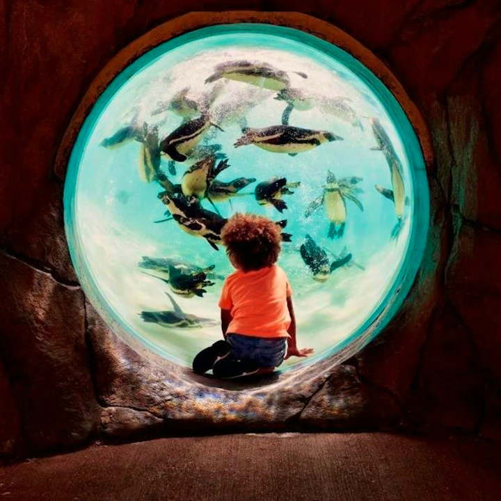 Go City London Explorer Pass Price